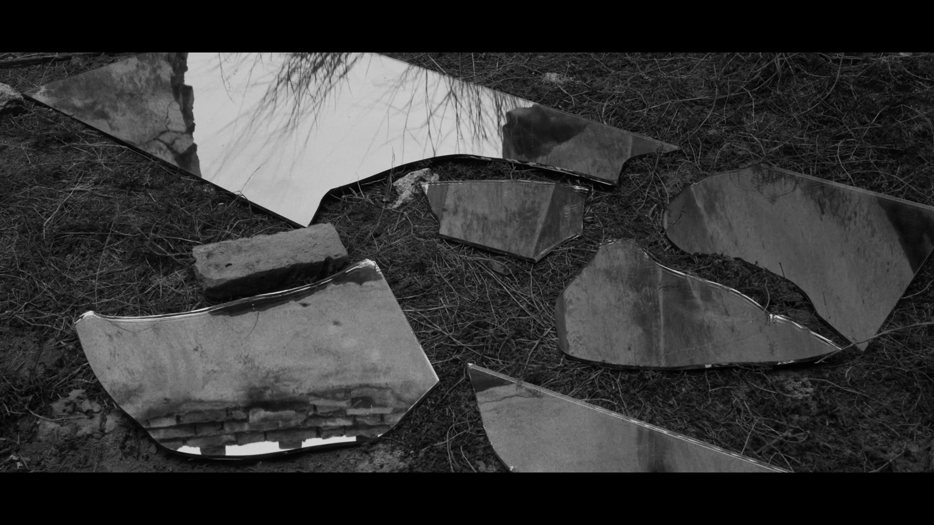 Film still from Faramarzi’s work.