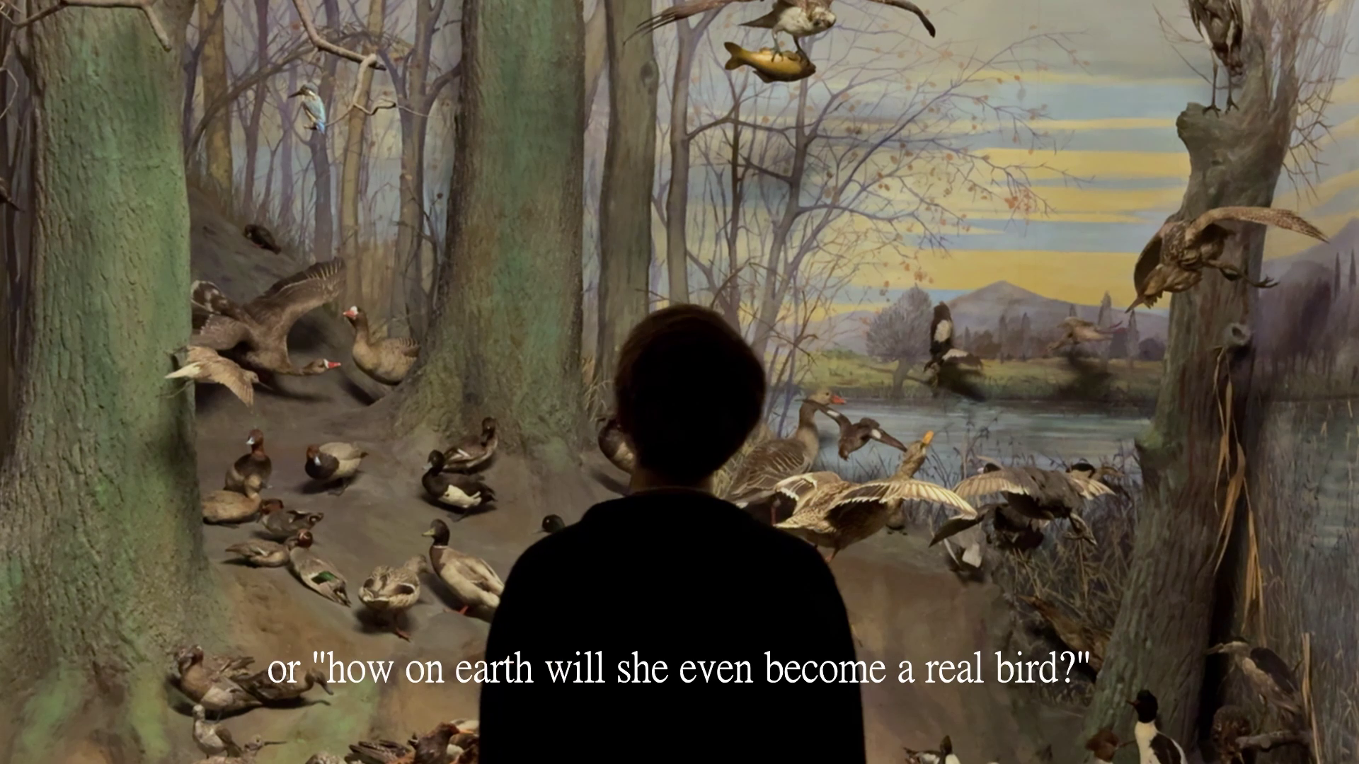 Film still from Faramarzi’s work.