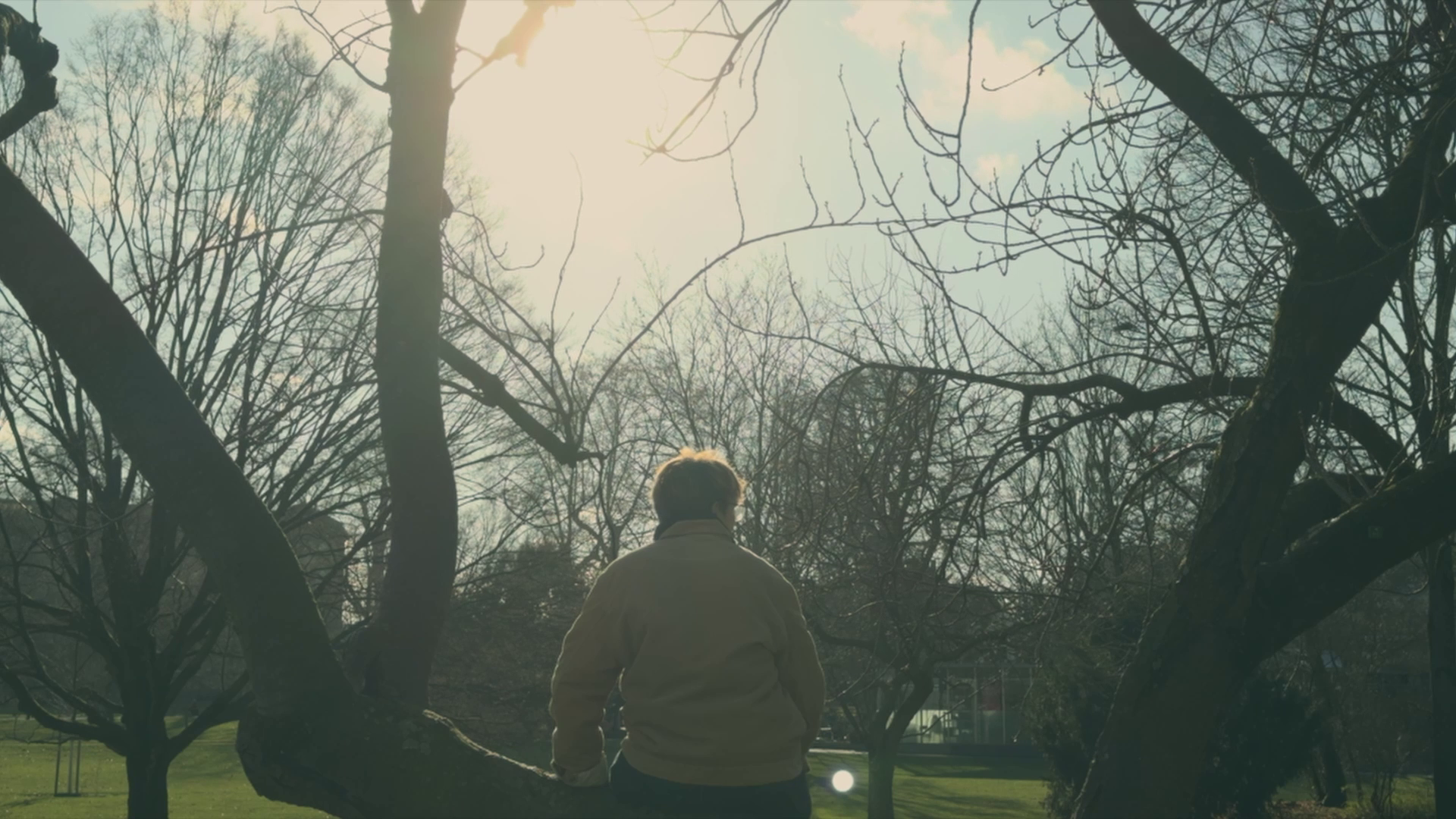Film still from Faramarzi’s work.
